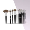 BH 13 Piece Brush Set
