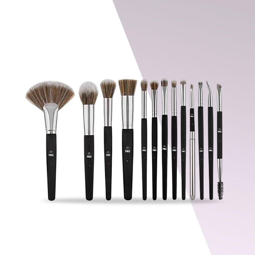 BH 13 Piece Brush Set