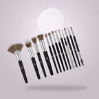 BH 13 Piece Brush Set